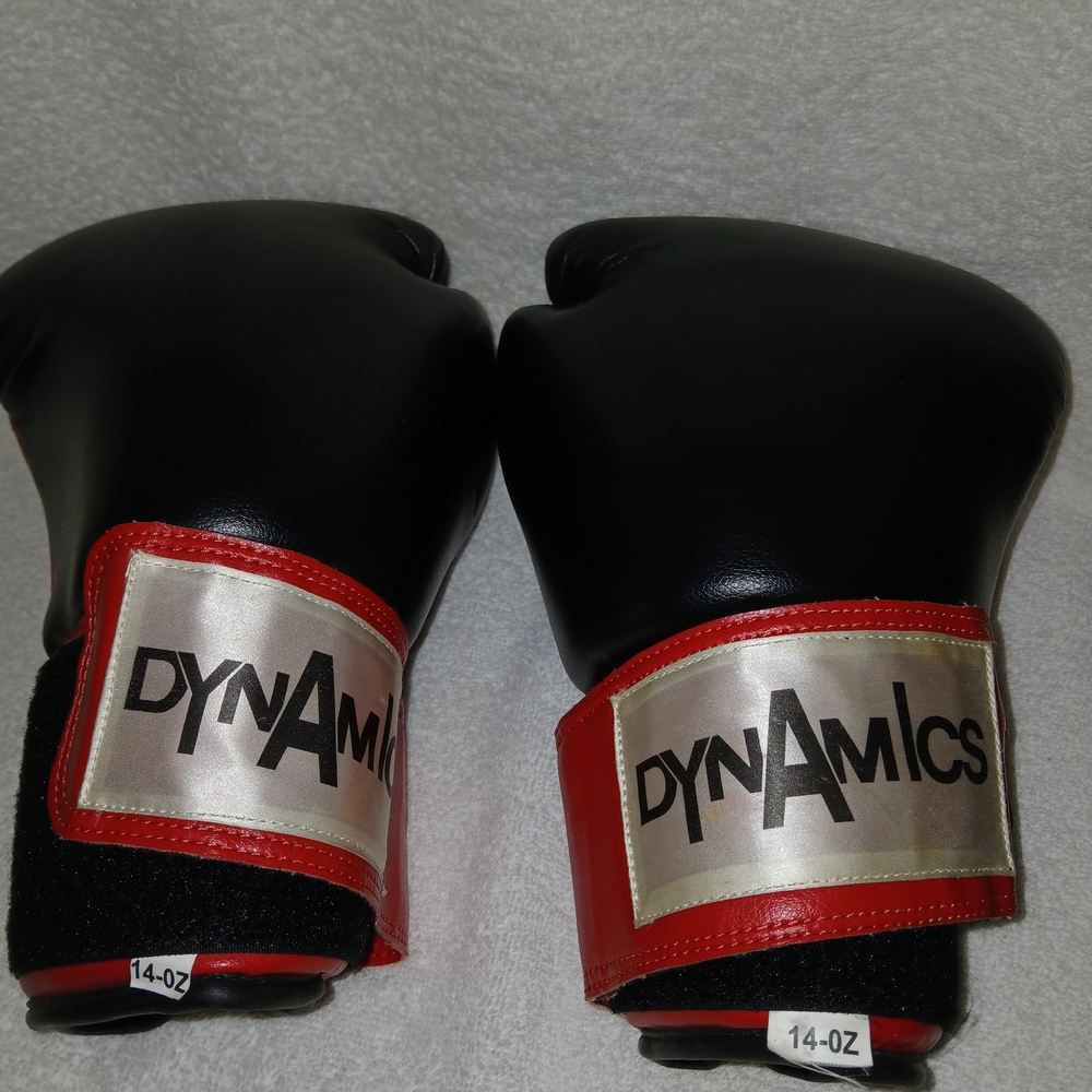 Dynamics Black and Red Boxing Gloves